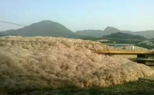 （圖：水處理起泡場景）