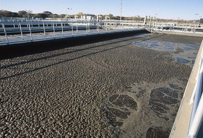 生化污水處理消泡劑