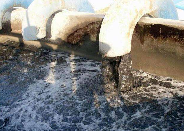 （圖：養(yǎng)殖場污水泡沫處理池）