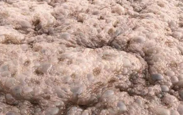 （圖：垃圾填埋場污水泡沫）