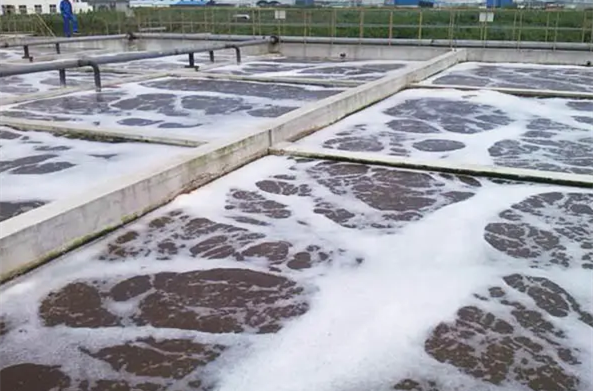 （圖：生活污水泡沫處理廠）