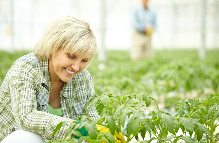 (圖:南輝消泡劑廠家除草劑消泡劑運用)