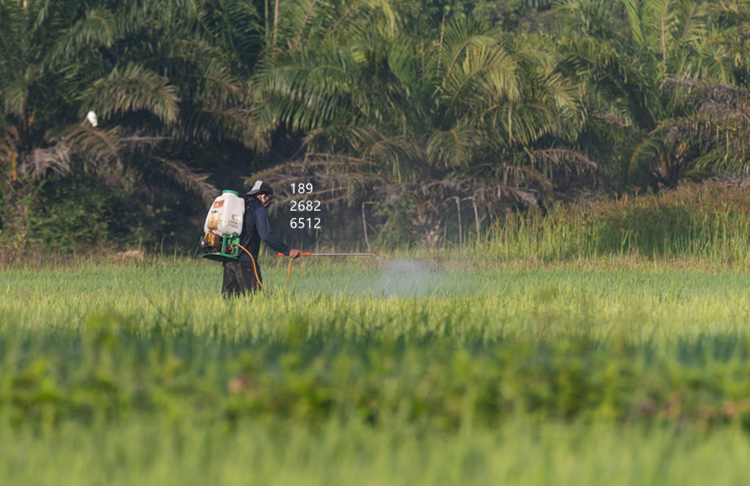 (圖:南輝液體肥料消泡劑的作用)