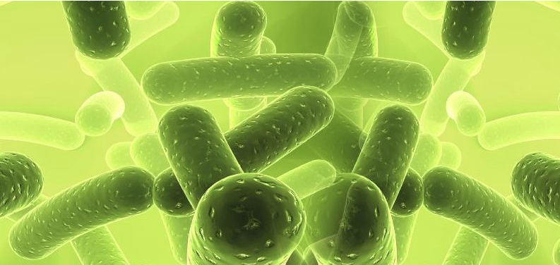 (圖:微生物發(fā)酵)