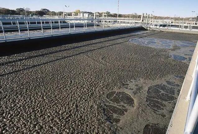 （圖：化糞池污水處理起泡場景）